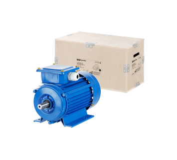 Эл. Двиг. АИР 90L2 3 кВт 3000 об/мин 1081 TDM