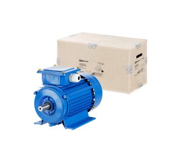 Эл. Двиг. АИР 100S2 4 кВт 3000 об/мин 1081 TDM