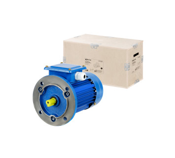 Эл. Двиг. АИР 100S4 3 кВт 1500 об/мин 3081 TDM