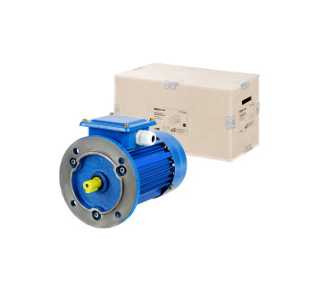 Эл. Двиг. АИР 100L6 2,2 кВт 1000 об/мин 3081 TDM