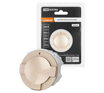 Выключатель карточный 250В 8кВт шампань, 