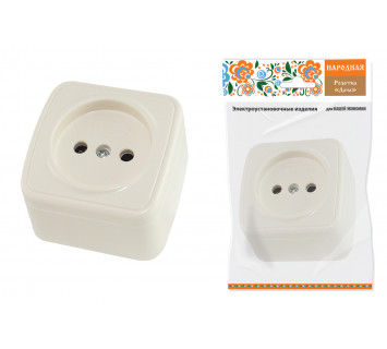 Розетка 2П открытой установки IP20 10А, сл. кость 