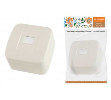 Розетка компьютерная (RJ-45) открытой установки IP20, сл. кость 