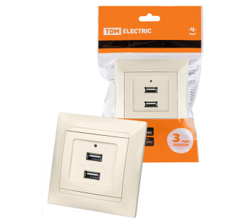 Розетка 2USB порт 2,1А 5В сл. кость 