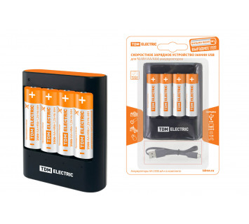 Зарядное устройство 36044Н (3600 mA 4 слота АА/ААА 4 кан.+4xAA2500 USB) TDM