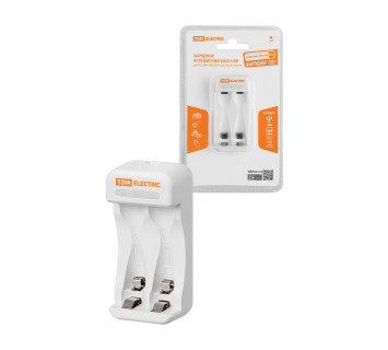 Зарядное устройство 2022 (200 mA 2 слота АА/ААА 2 кан.USB) TDM